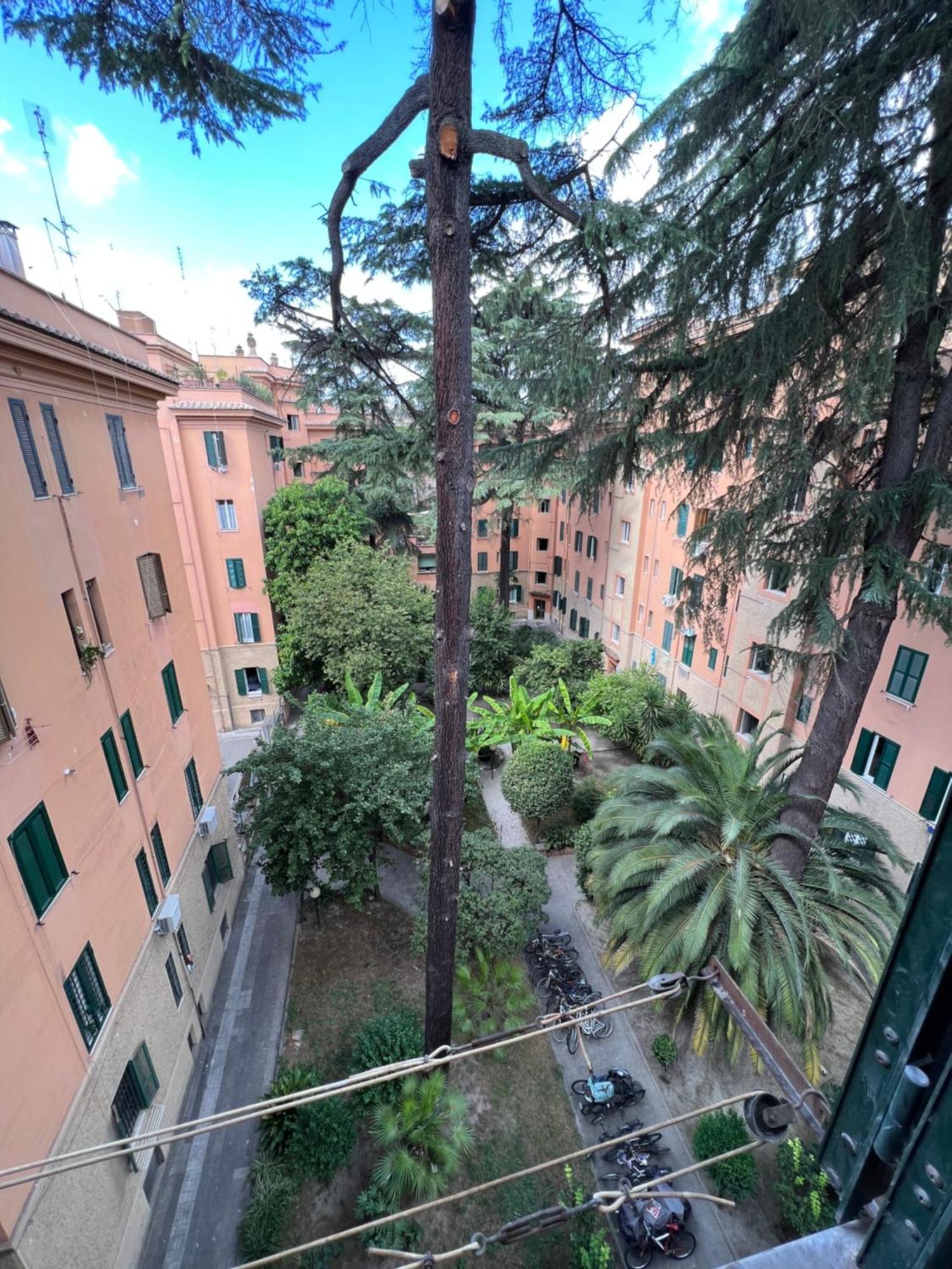 Enjoy Vatican Holiday In Rom Exteriör bild